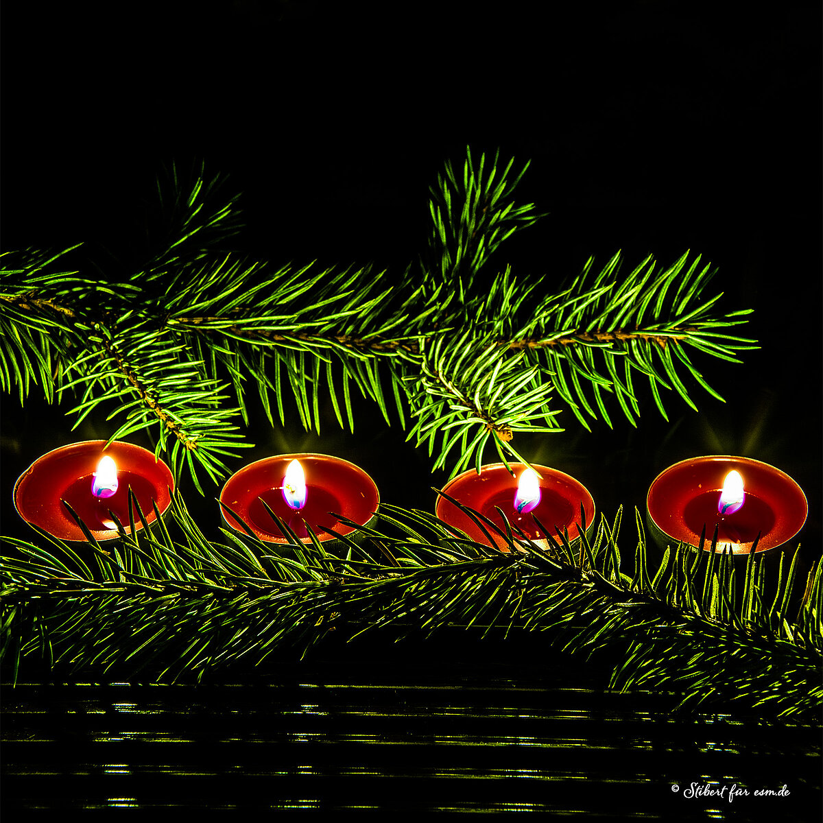 Das Bild zeigt 4 Kerzen umgeben von Tannengrün