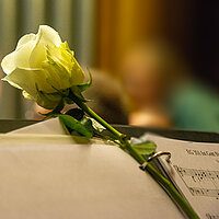 Ein gelbe Rose liegt auf den Noten des Bläserchores