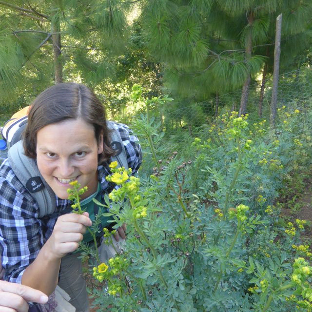 Lächelnde Person hält gelbe Blume in einem Wald.