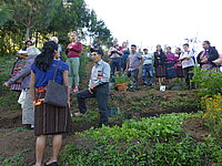 Eine Gruppe Menschen versammelt sich auf einer geneigten, kultivierten Fläche.