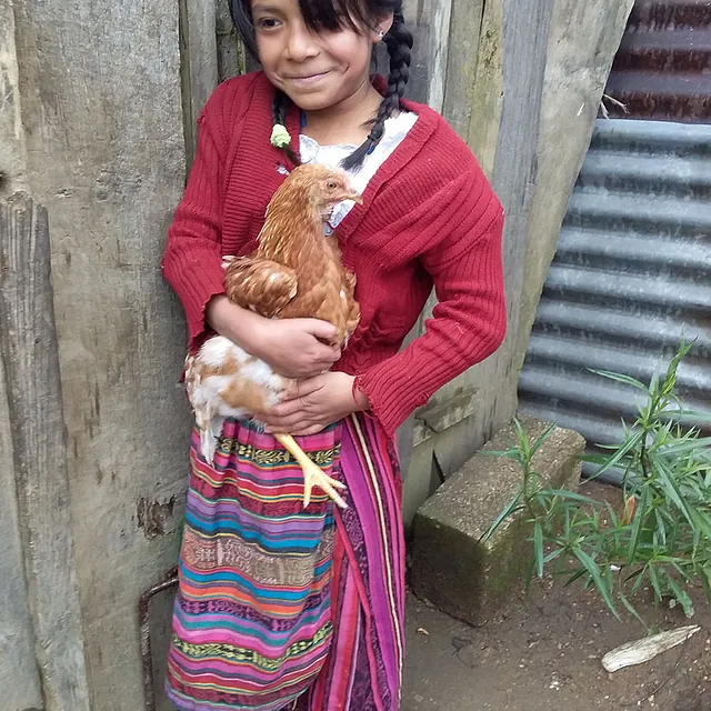 Junges Mädchen in traditioneller Kleidung hält ein Huhn, lächelt lieb.
