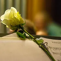 Eine zarte weiße Rose ruht auf Notenblättern, sanfter Moment.