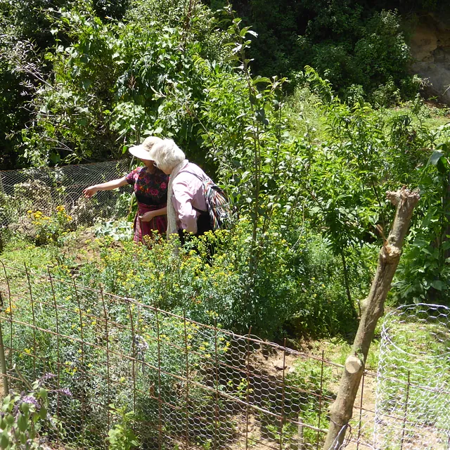 Zwei Frauen pflegen einen üppigen, grünen Garten hinter einem Zaun.