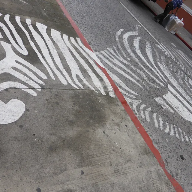 Zebra-Muster Straßenkunst auf Asphalt mit roter Trennlinie.